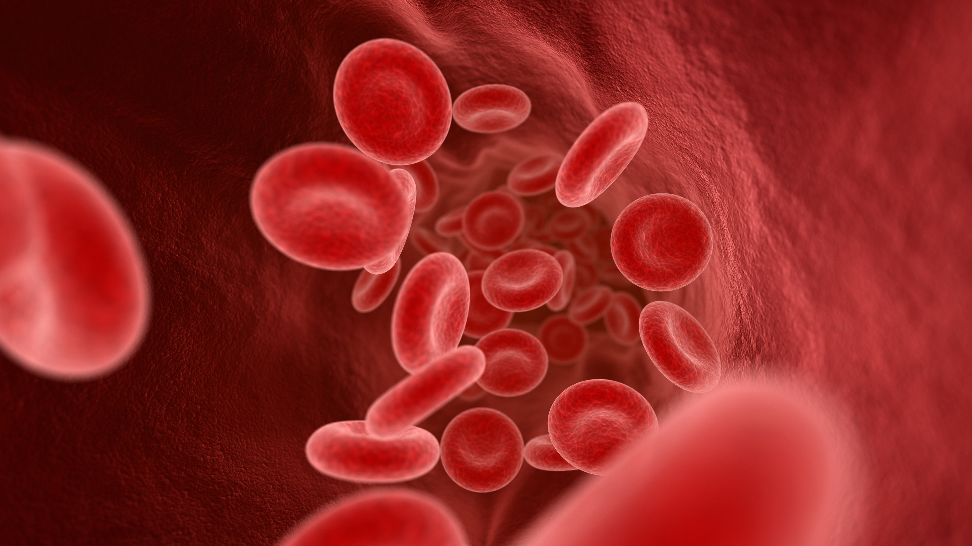 Closeup of blood cells in the vein
